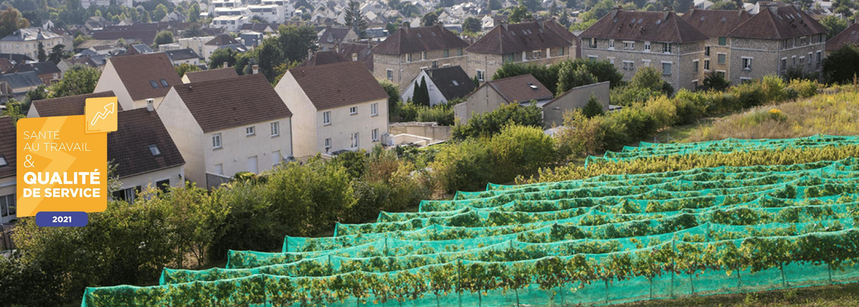 Lauréate PSMT 2021, Montataire s’engage pour la prévention et la qualité durable en restauration collective