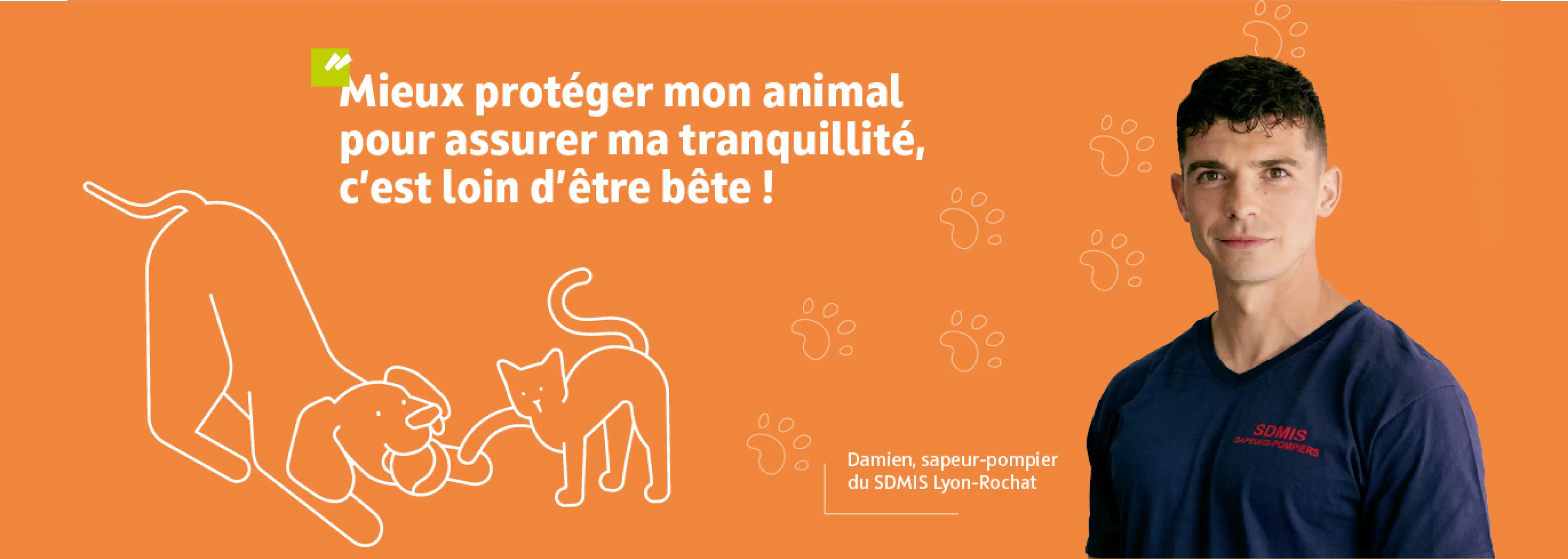 Offre MNT santé animale chien-chat