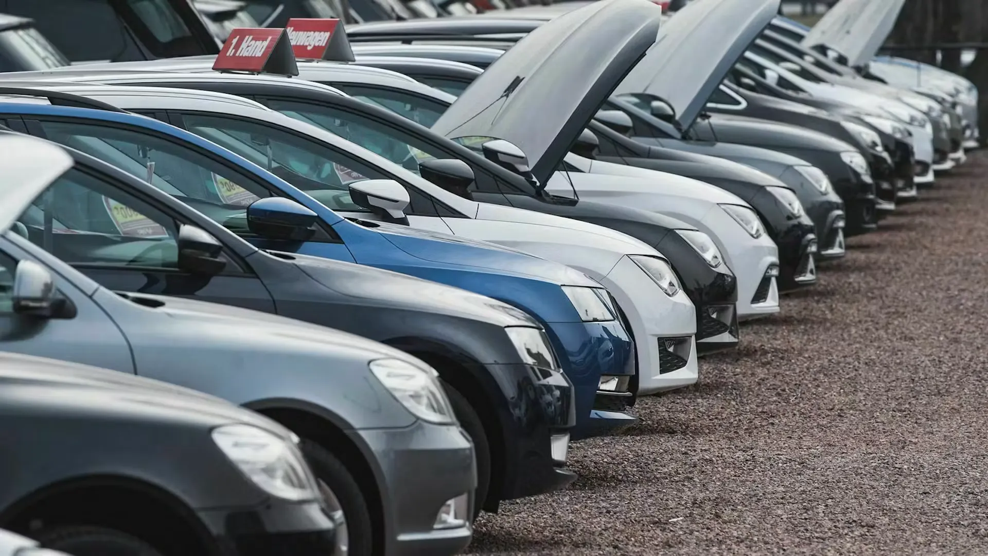 Autos in einer Reihe, einige der Motorhauben sind geöffnet.