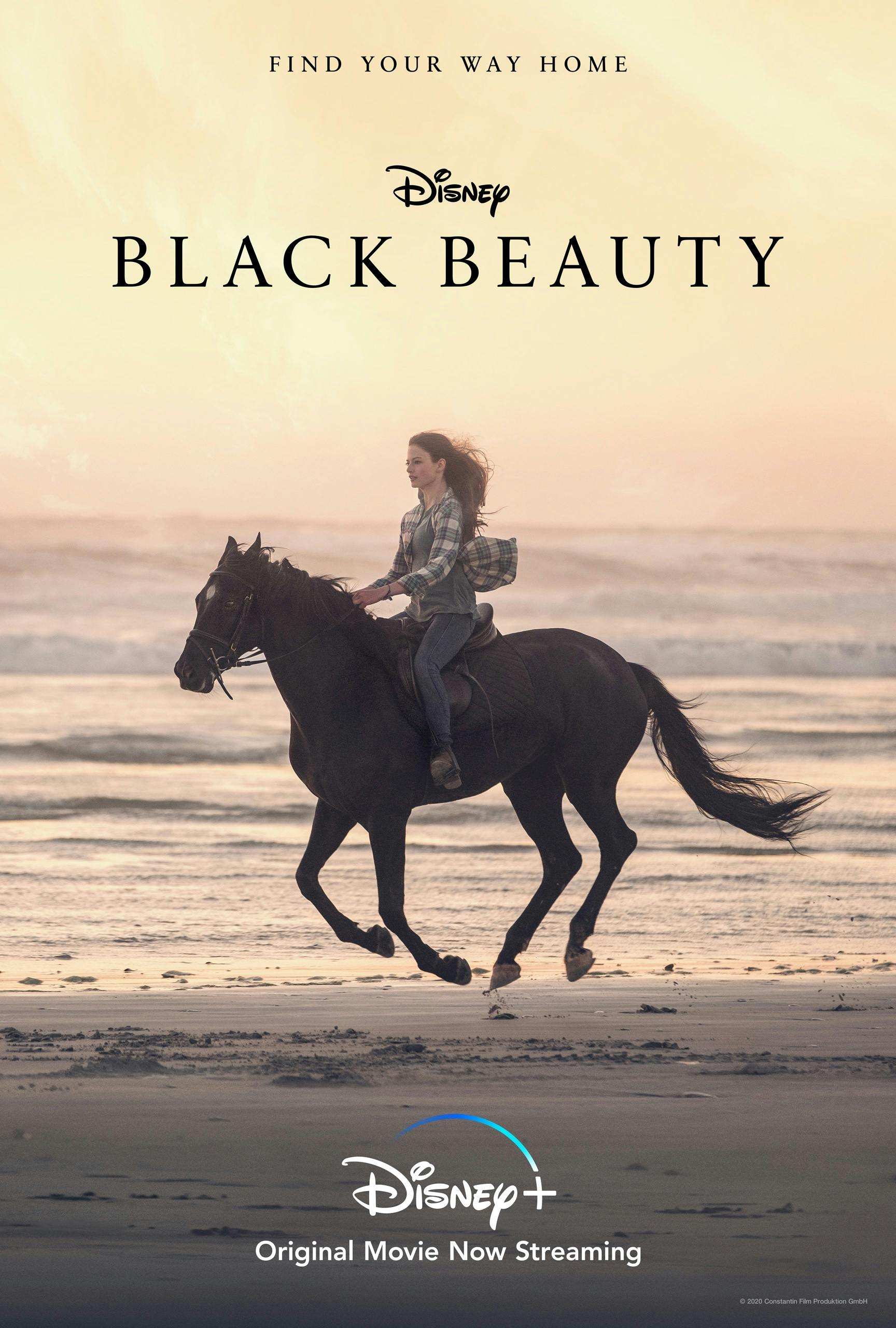Black Beauty hero photo
