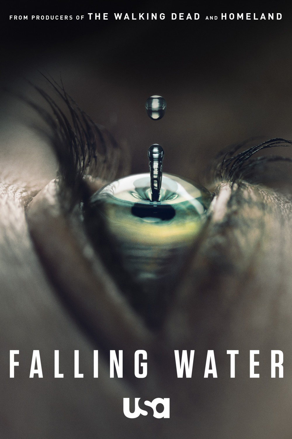 Falling Water hero photo