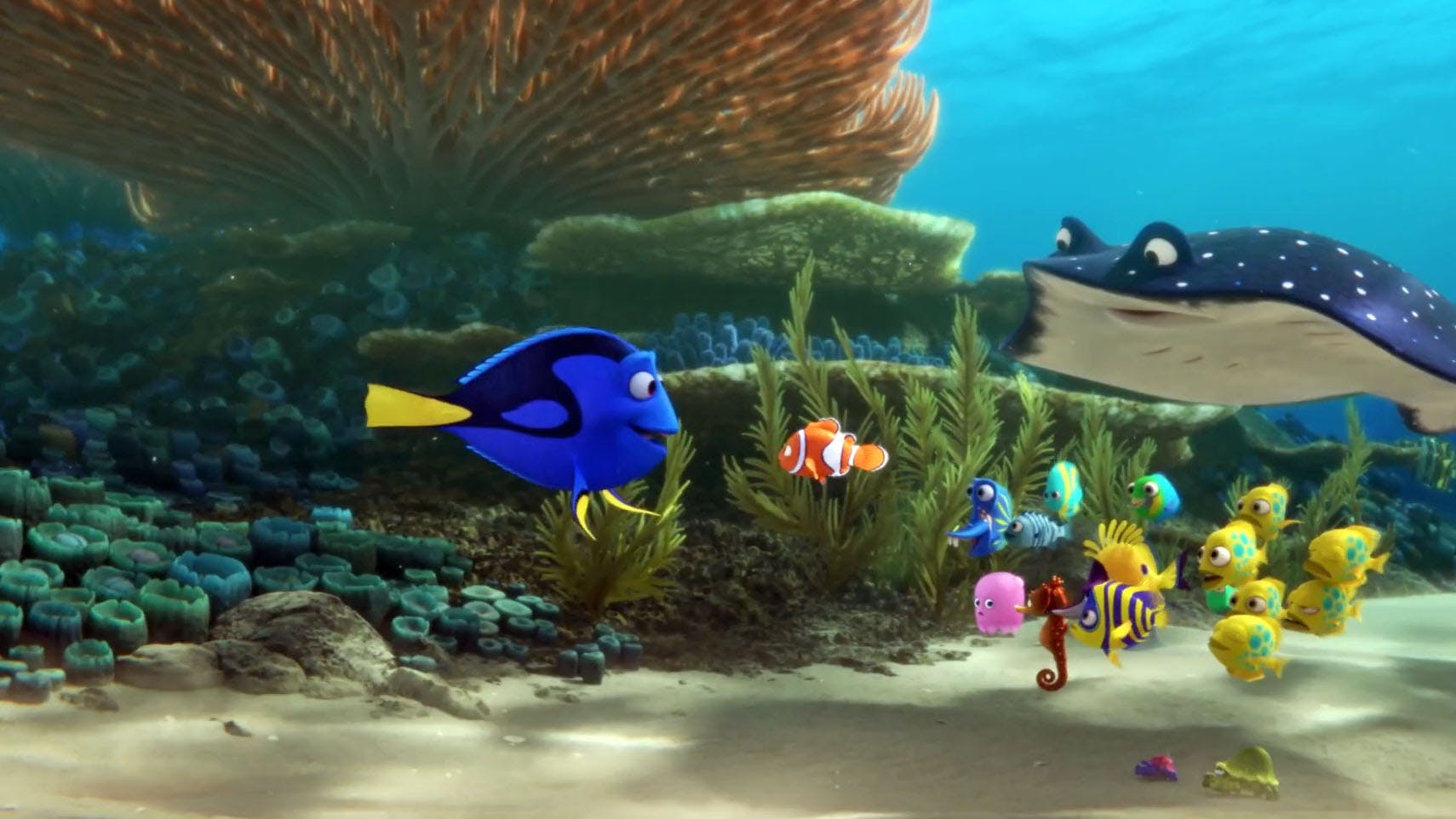 Finding Dory hero photo