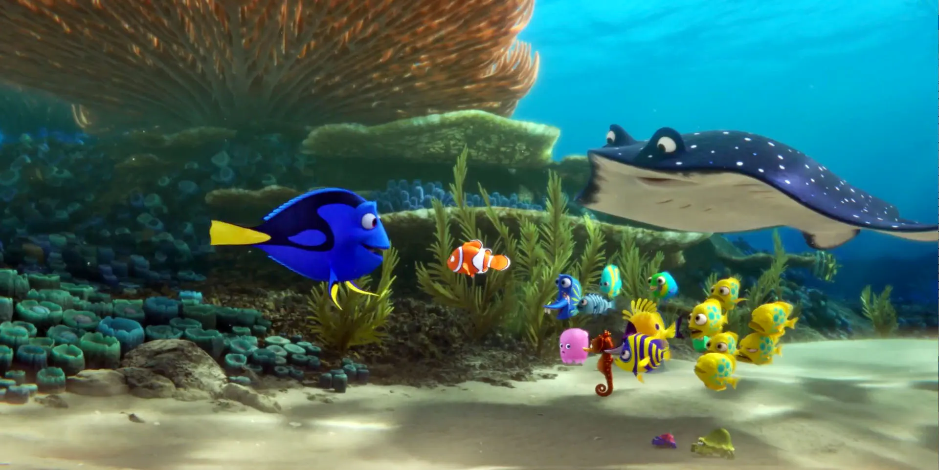 Finding Dory Riff Finding Dory | MOCEAN