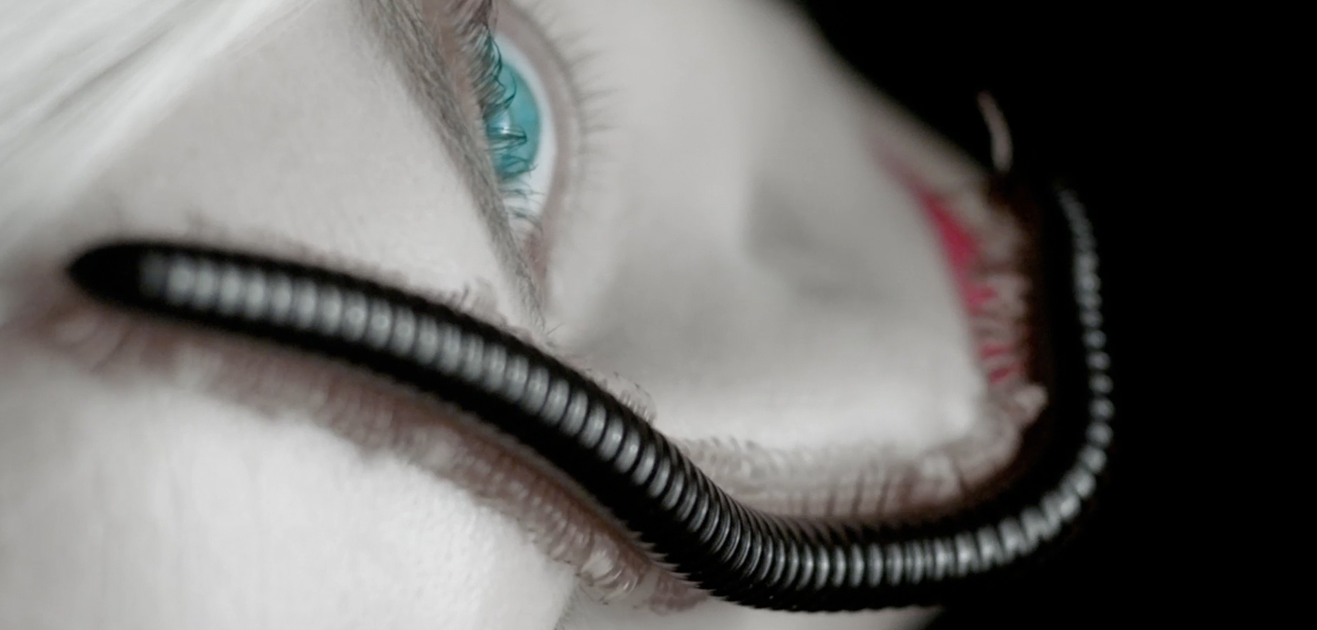 TV15 - Milli's Crossing