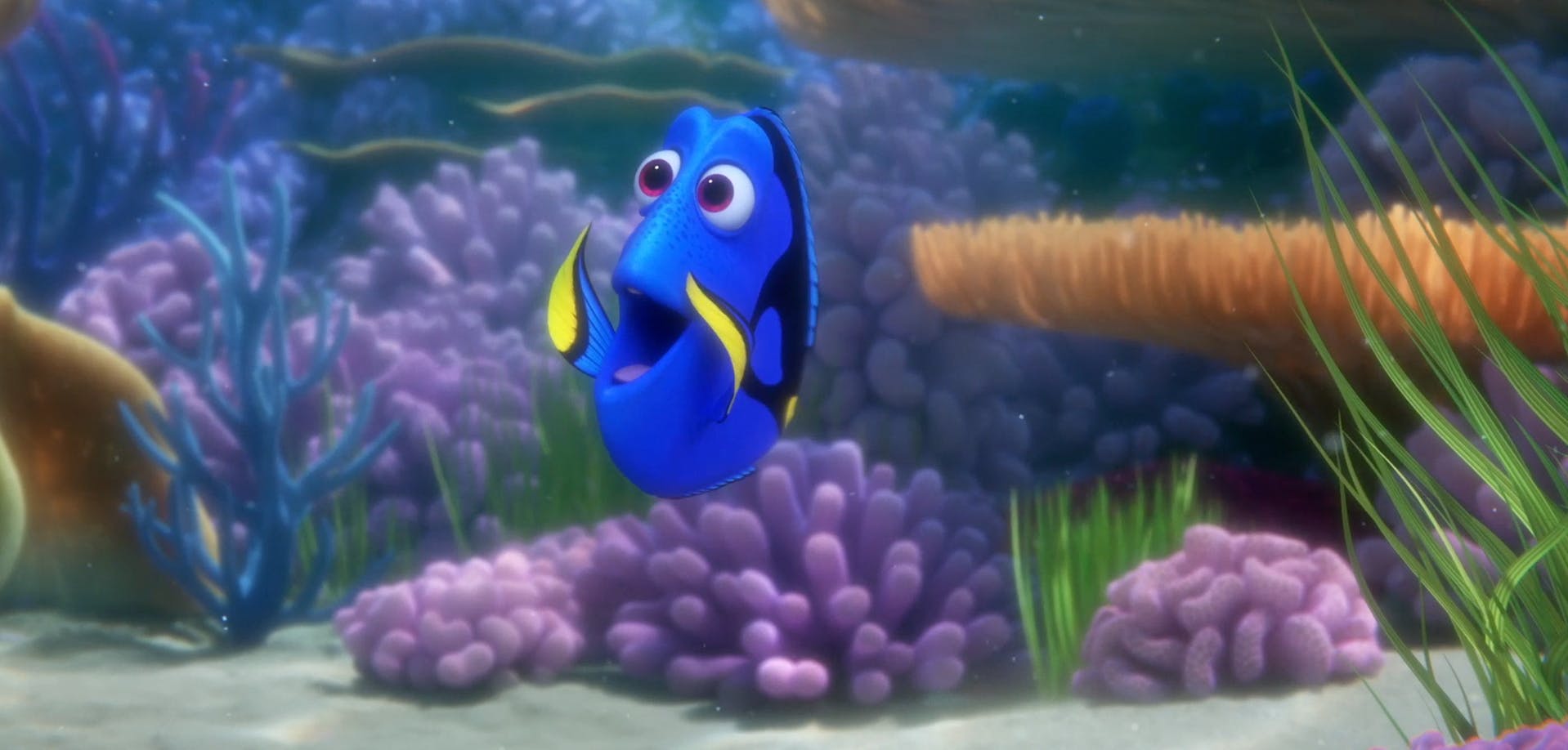 TV30 - Where's Dory