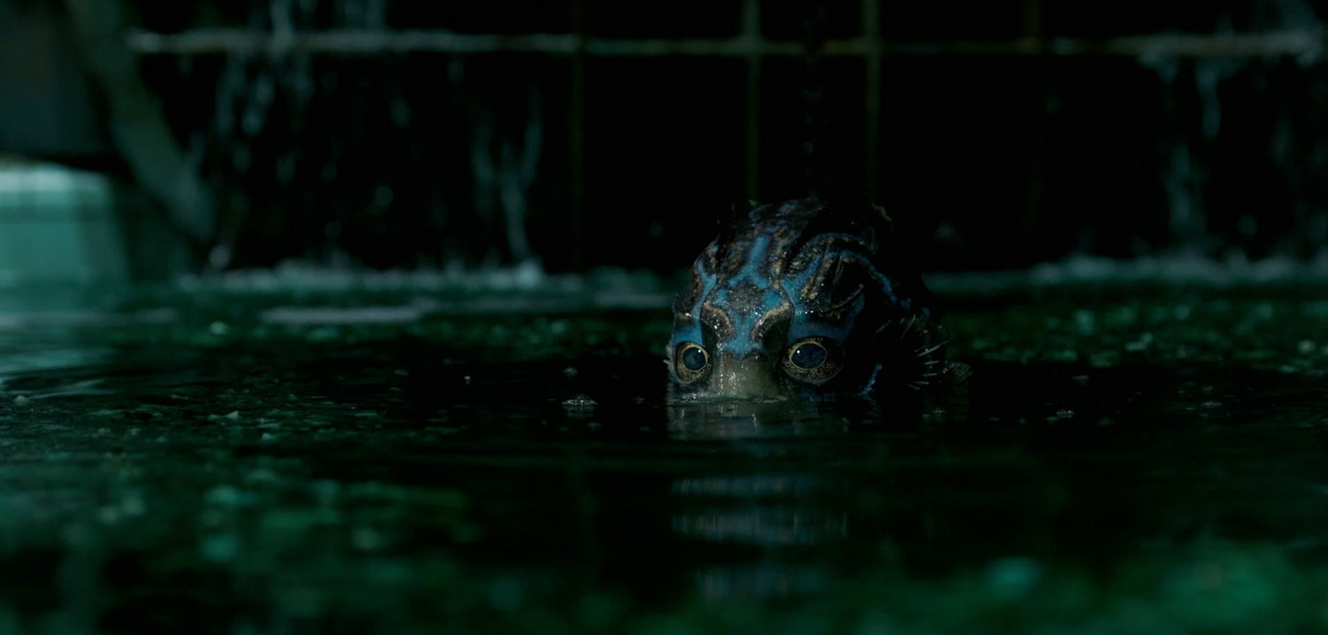 TV60 - Academy Review