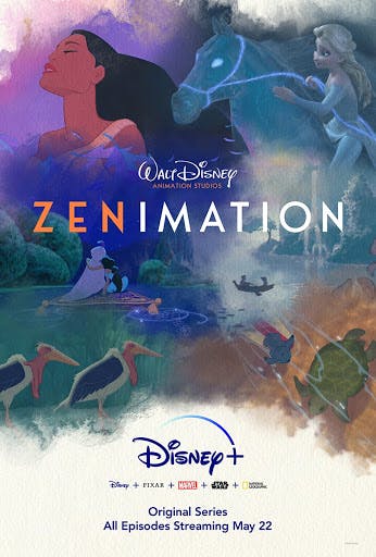 Zenimation hero photo