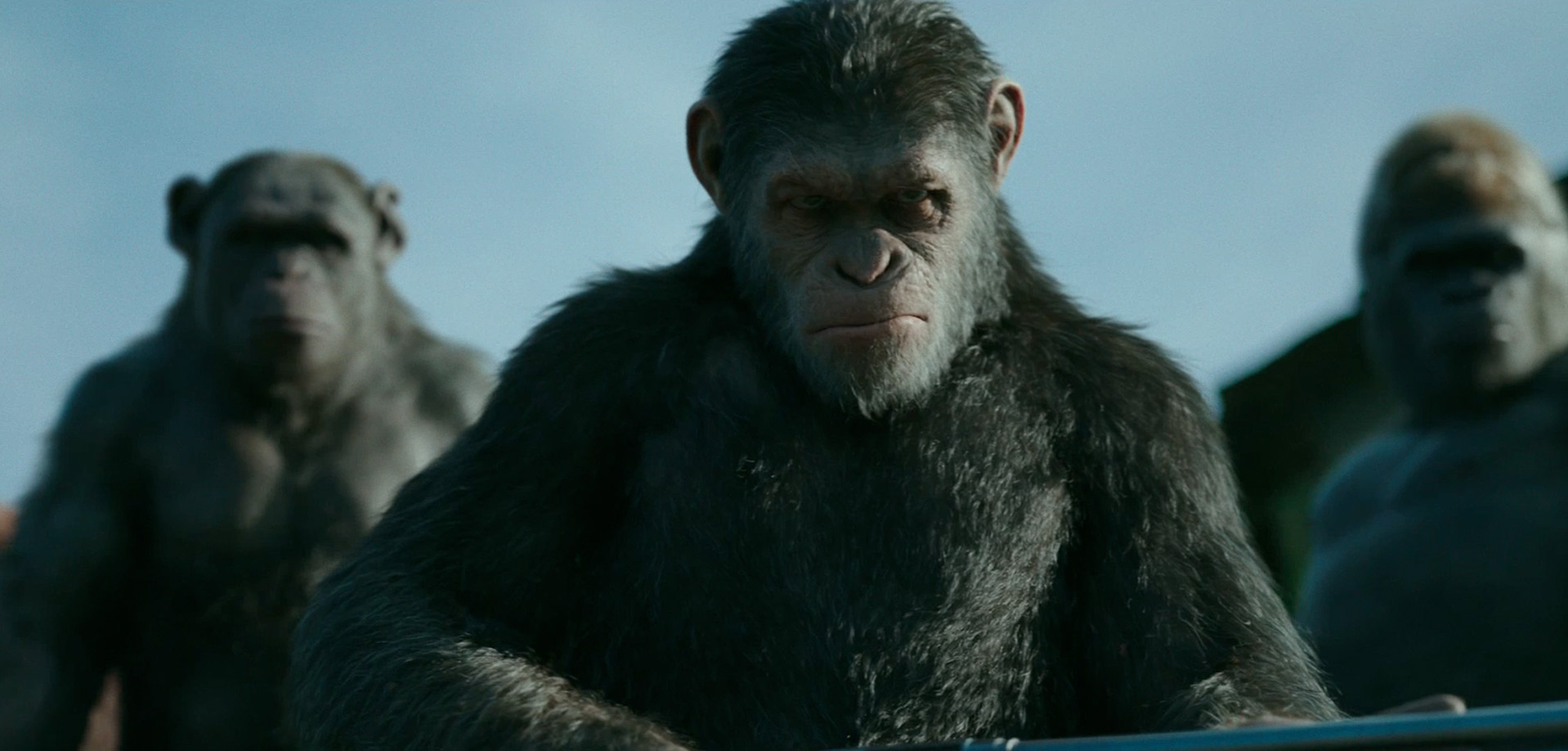 War for the Planet of the Apes hero photo