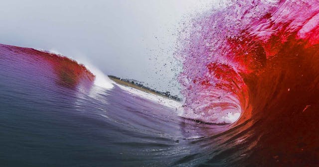 WAVE
