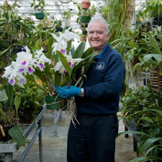 A gardener in a greenhouse, looking and smilling at the camera with an orchid on his hand