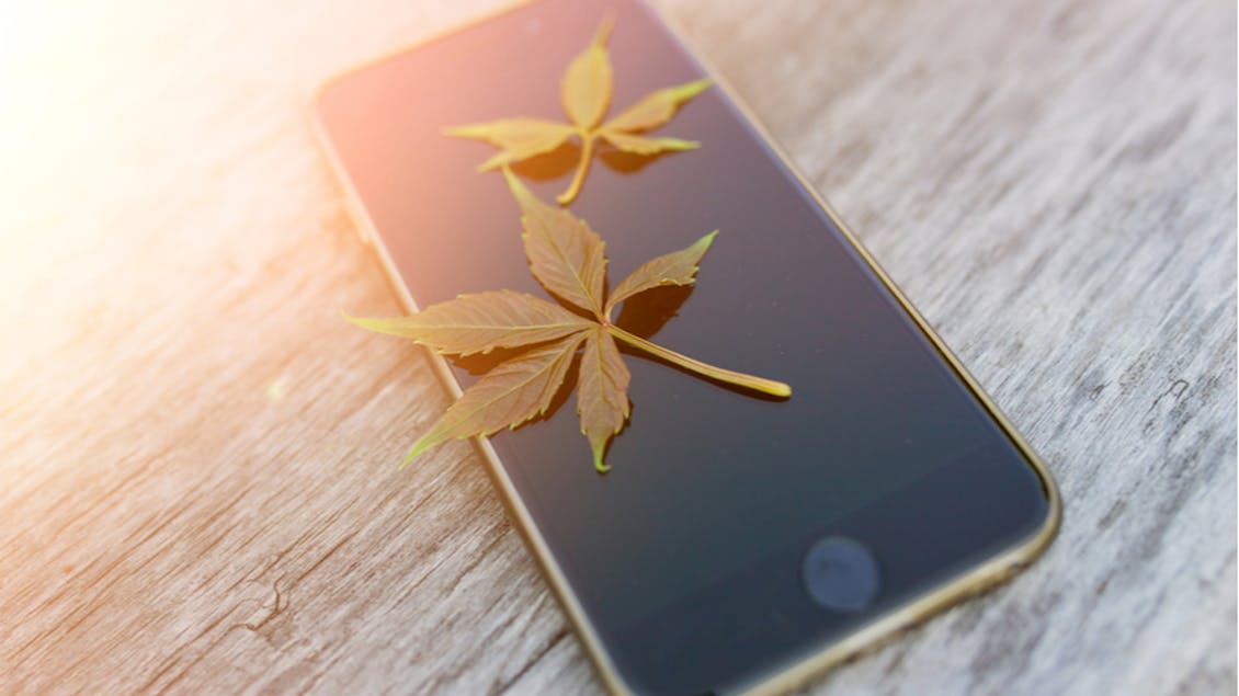 A cell phone with marihuana leafs on top