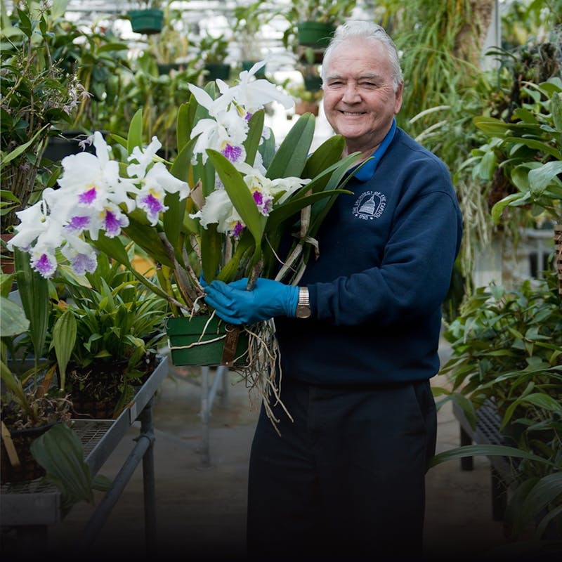 A gardener in a greenhouse, looking and smilling at the camera with an orchid on his hand