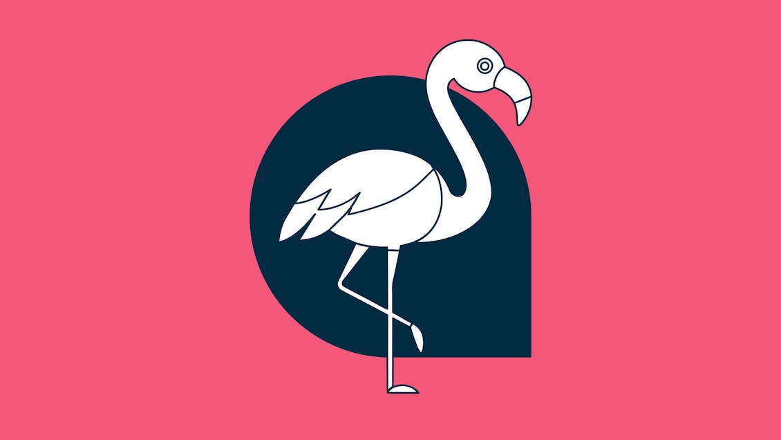 A flamingo stands on one leg