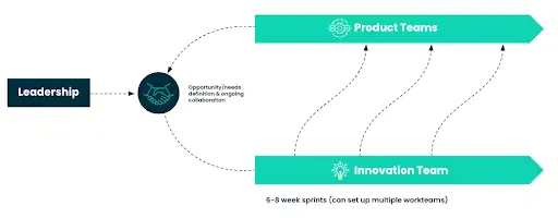 Diagram of an ambidextrous innovation worflow.