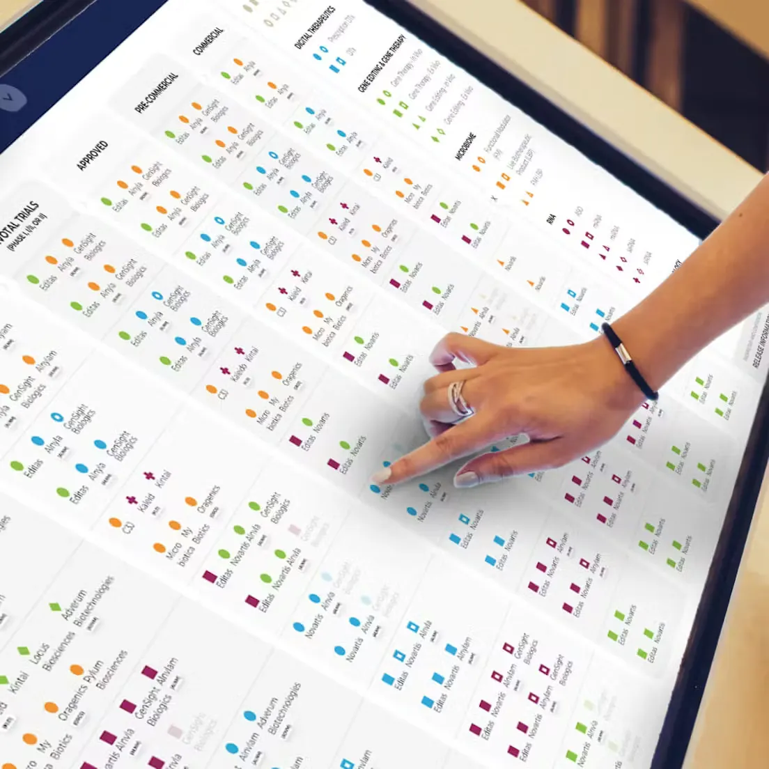 large screen with Chardan site