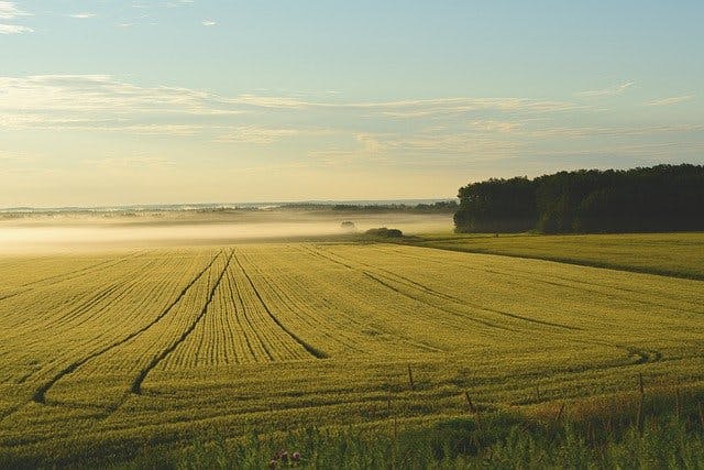 初心者でもできる？土地投資の種類とそれぞれの利回り・注意点を解説
