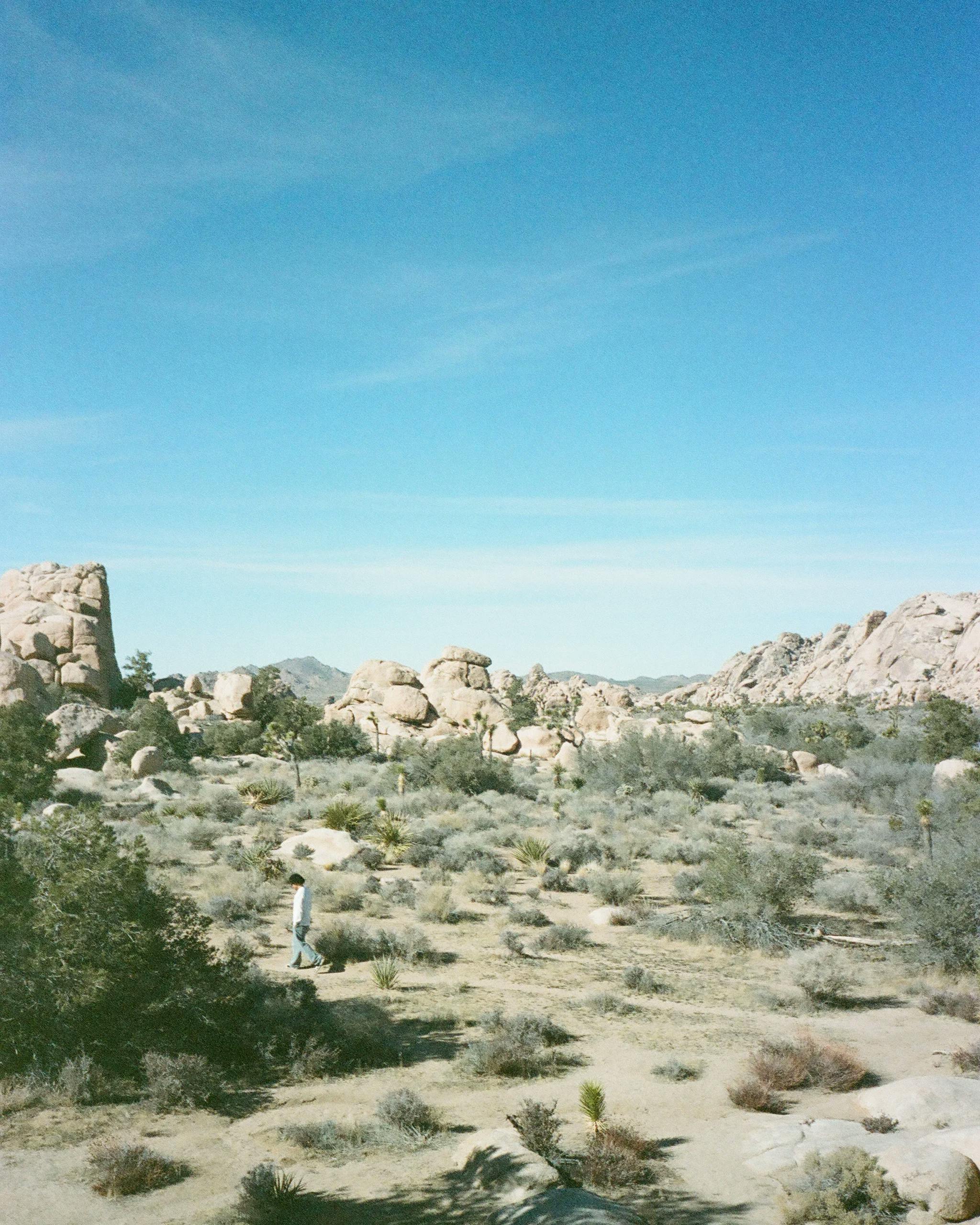 A photo of Joshua Tree National Park