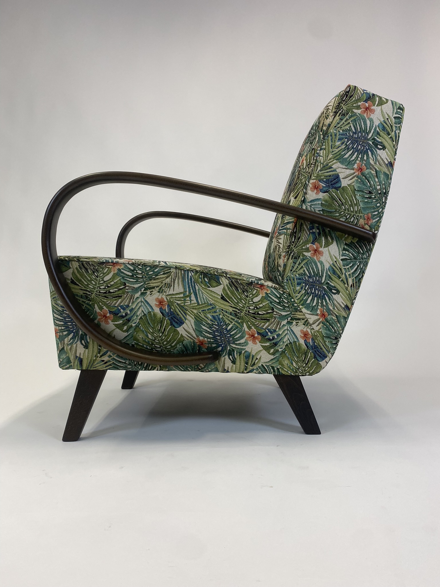 Křeslo Halabala - rostliny