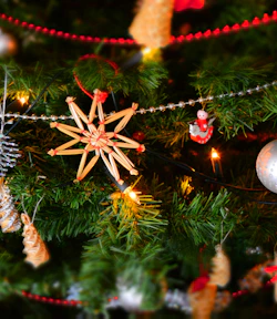 decorated christmas tree