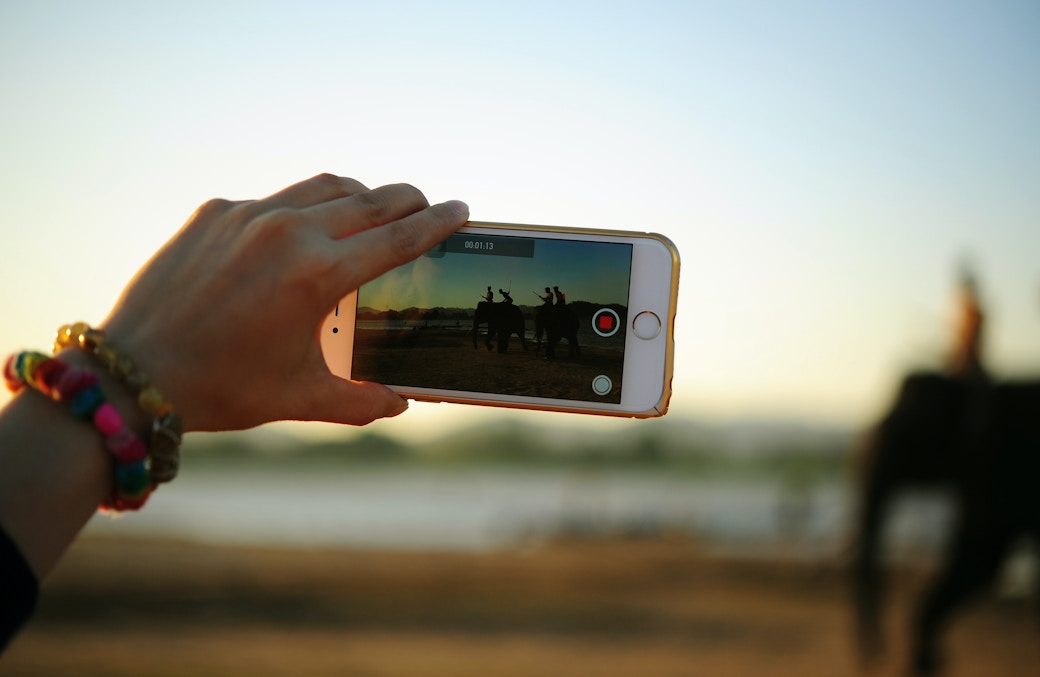 taking video elephants