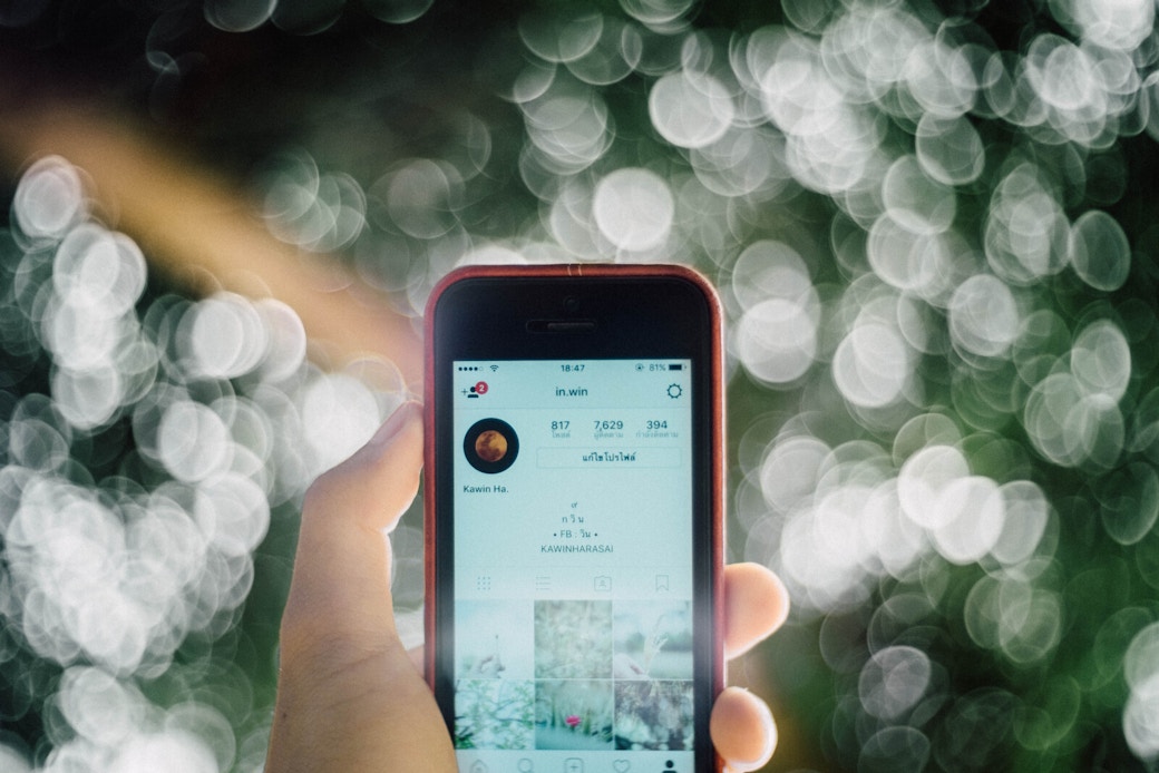 feed on instagram