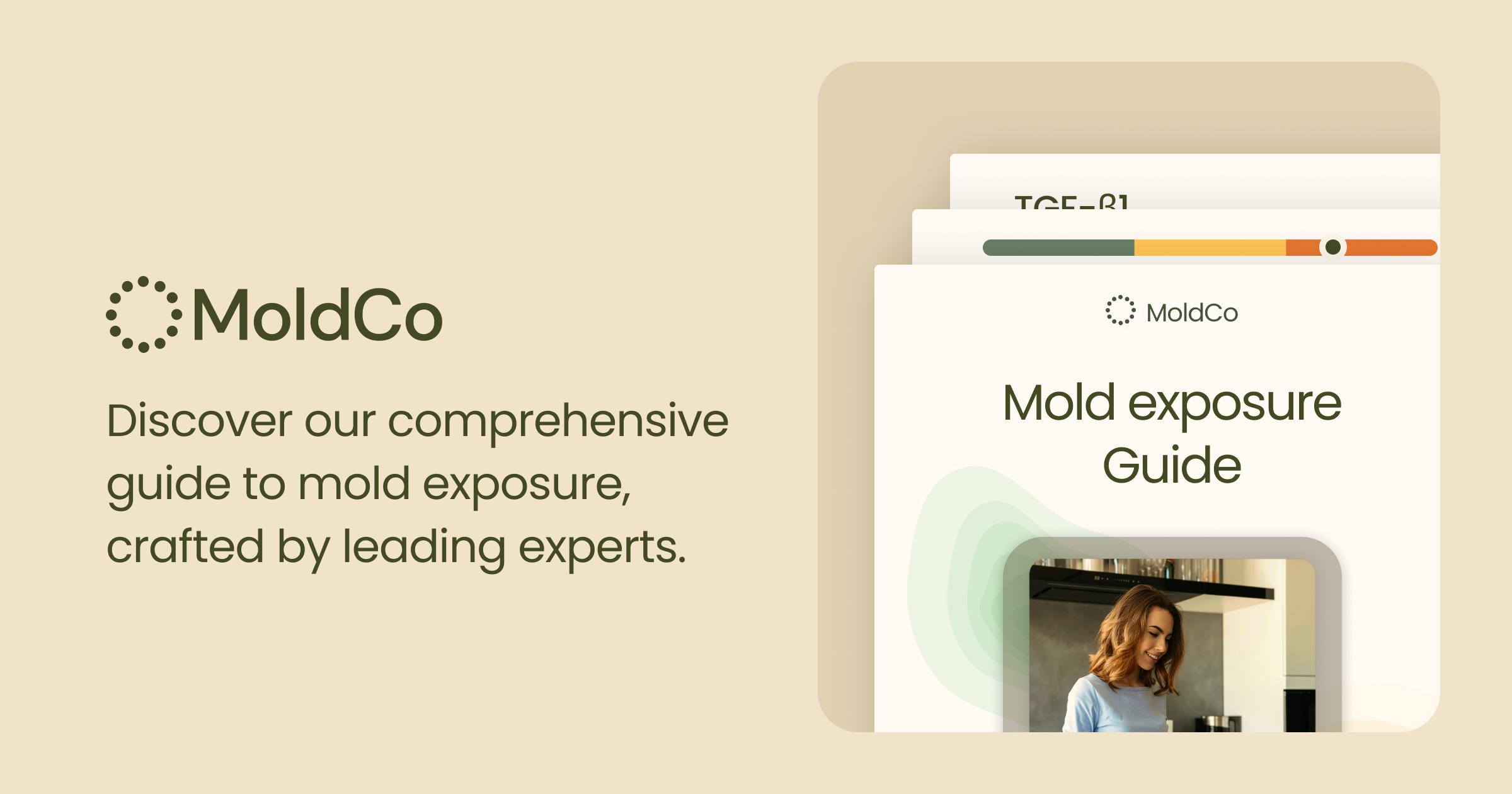 Mold Exposure Guide: Signs, Testing & Recovery | MoldCo