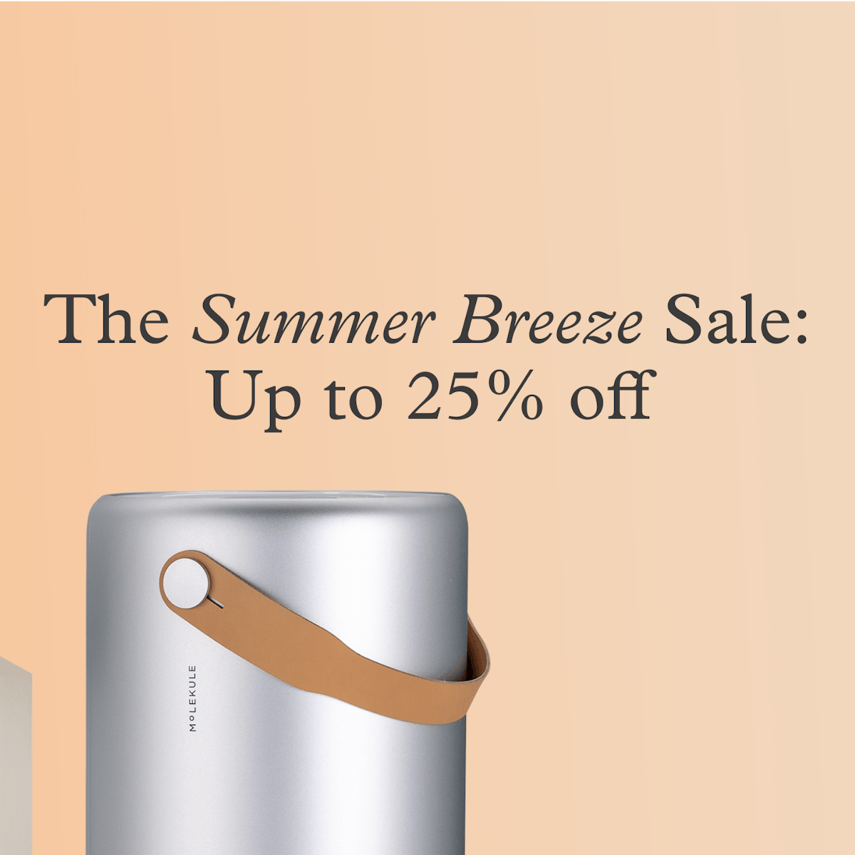 Molekule Air Mini+ | Portable Small Room Air Purifier Molekule Air Mini+ | Portable Small Room Air Purifier