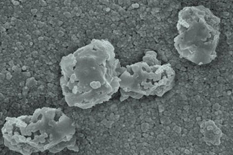mold being oxidized by PECO technology