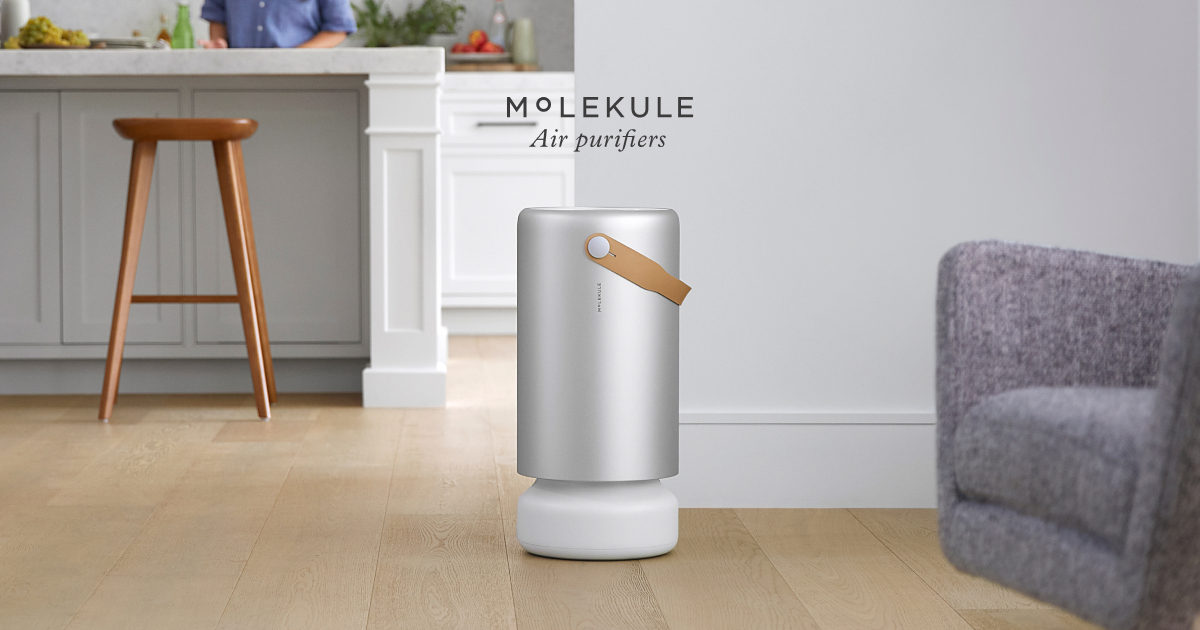 日本売り Molekule Air Pro(モレキュル エアー プロ) www.spiralesdelux.fr