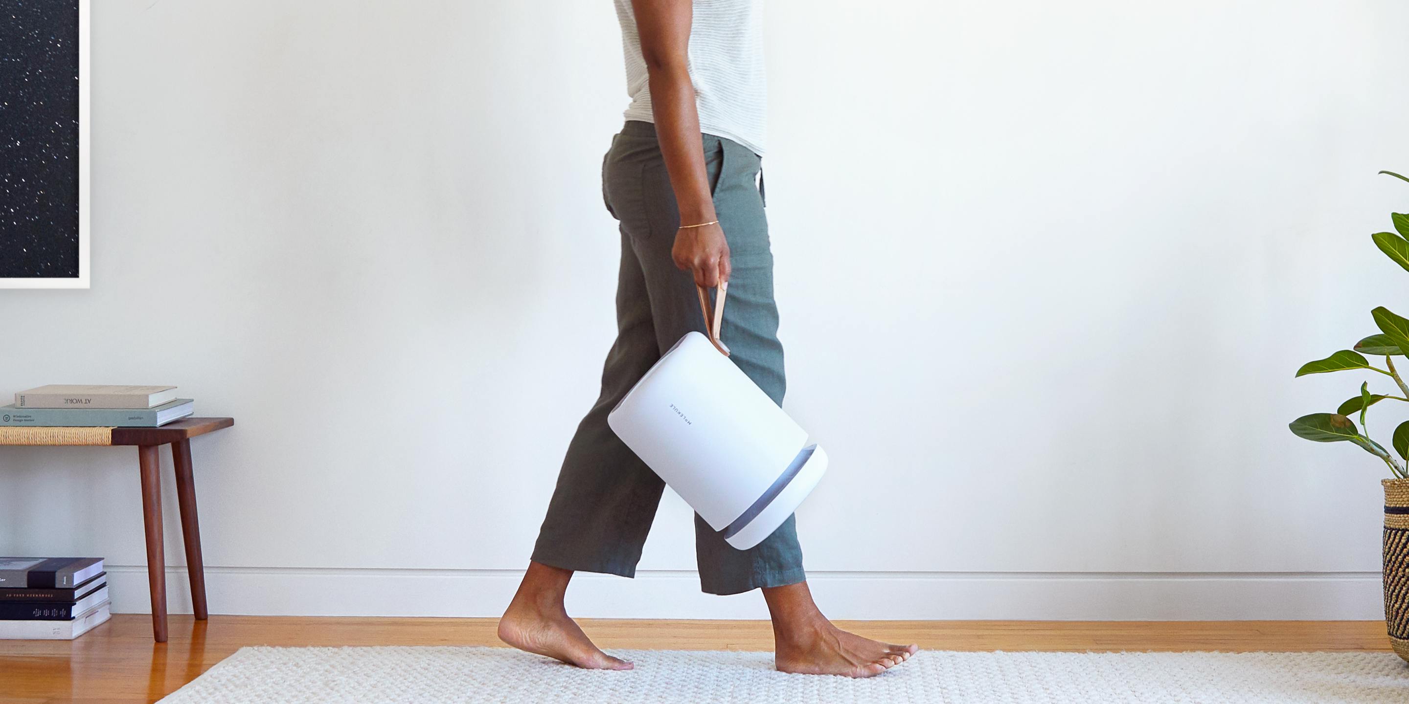 Person walking and holding an air purifier | Molekule