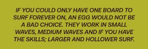 Egg Board Description