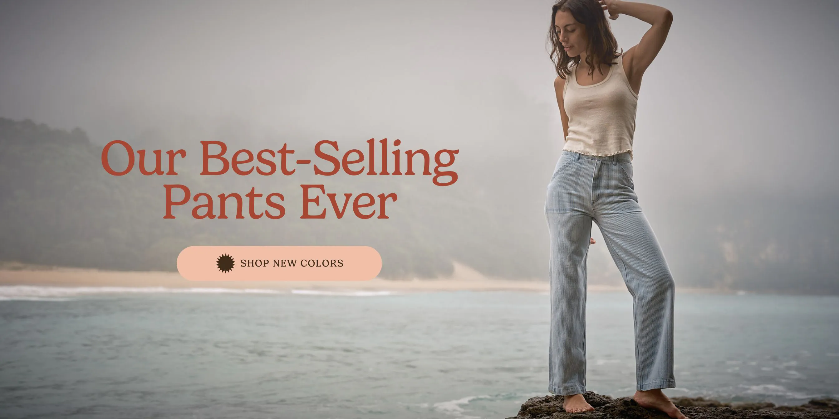 Shop New Painter Pants
