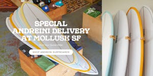 New Andreini Boards