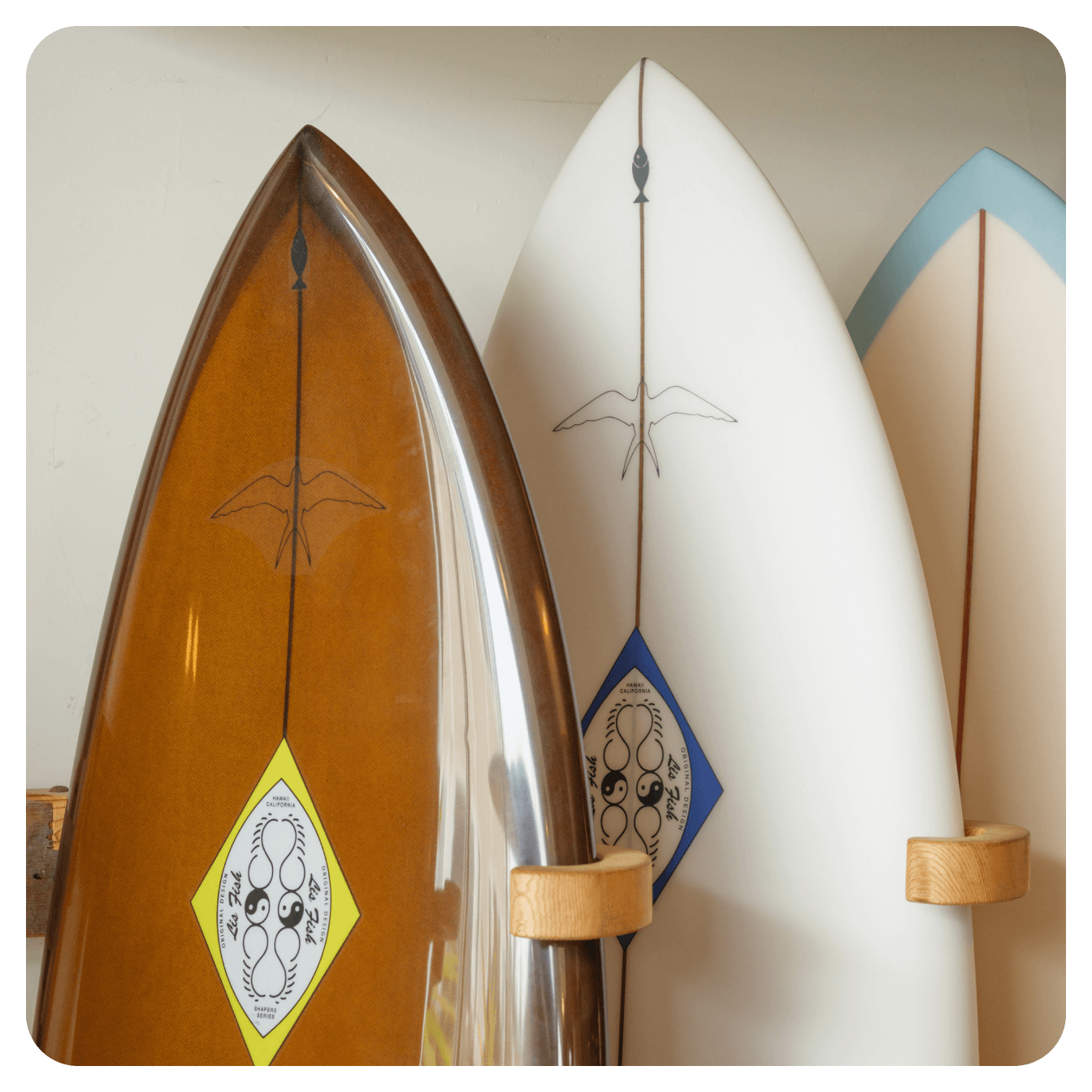 サーフィン・ボディボード Mollusk \"MPE Dolfin\" 8\" MPE Dolfin