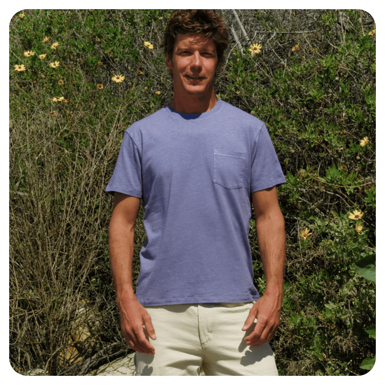 Mollusk California メリノウール混ニット L モラスク Mollusk California メリノウール混ニット L モラスク Mollusk