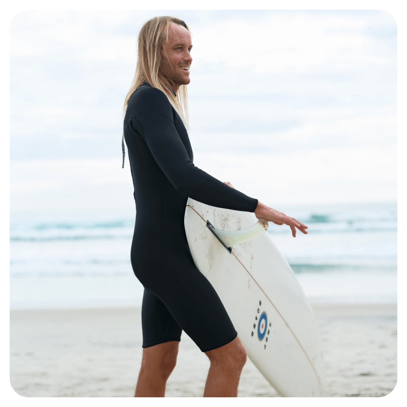 Mollusk California メリノウール混ニット L モラスク Mollusk Surf Shop