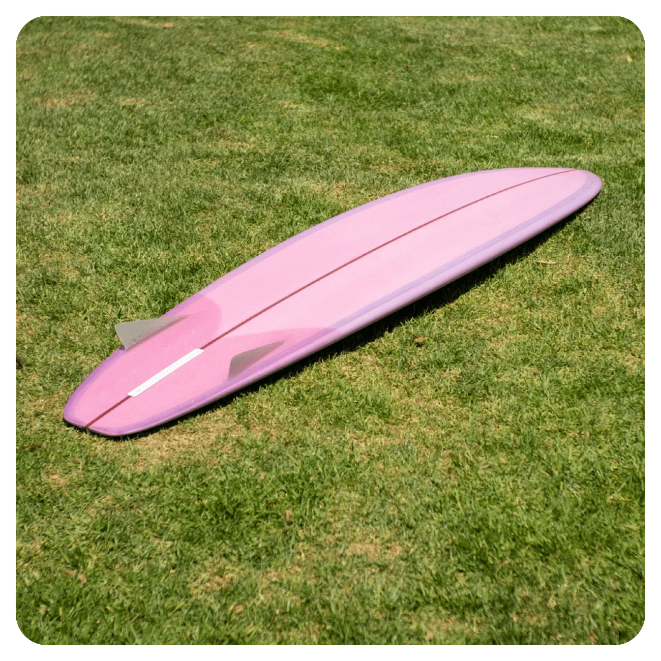 Mollusk Surf Shop