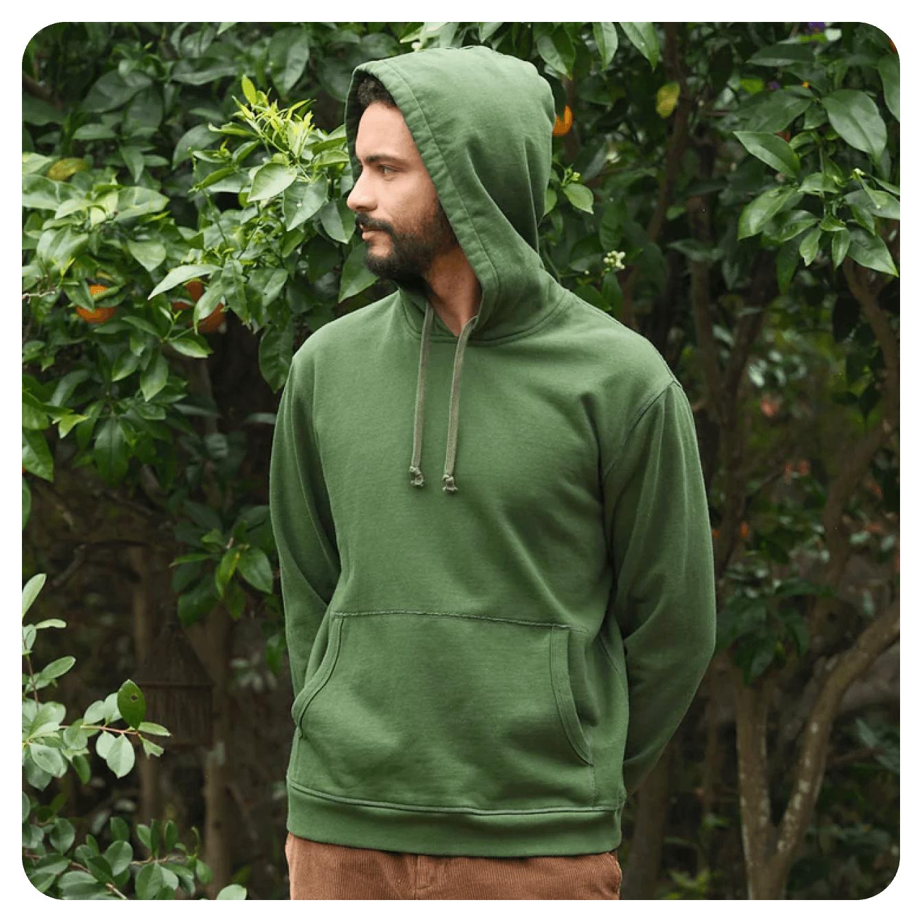 Mens Clothing - Mollusk Surf Shop