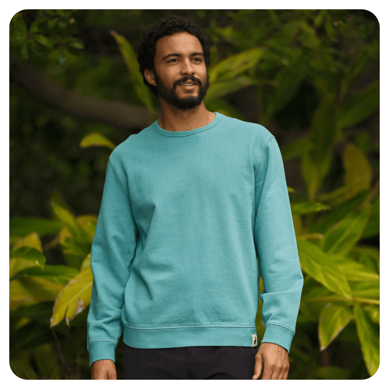 Mollusk California メリノウール混ニット L モラスク Mollusk Surf Shop