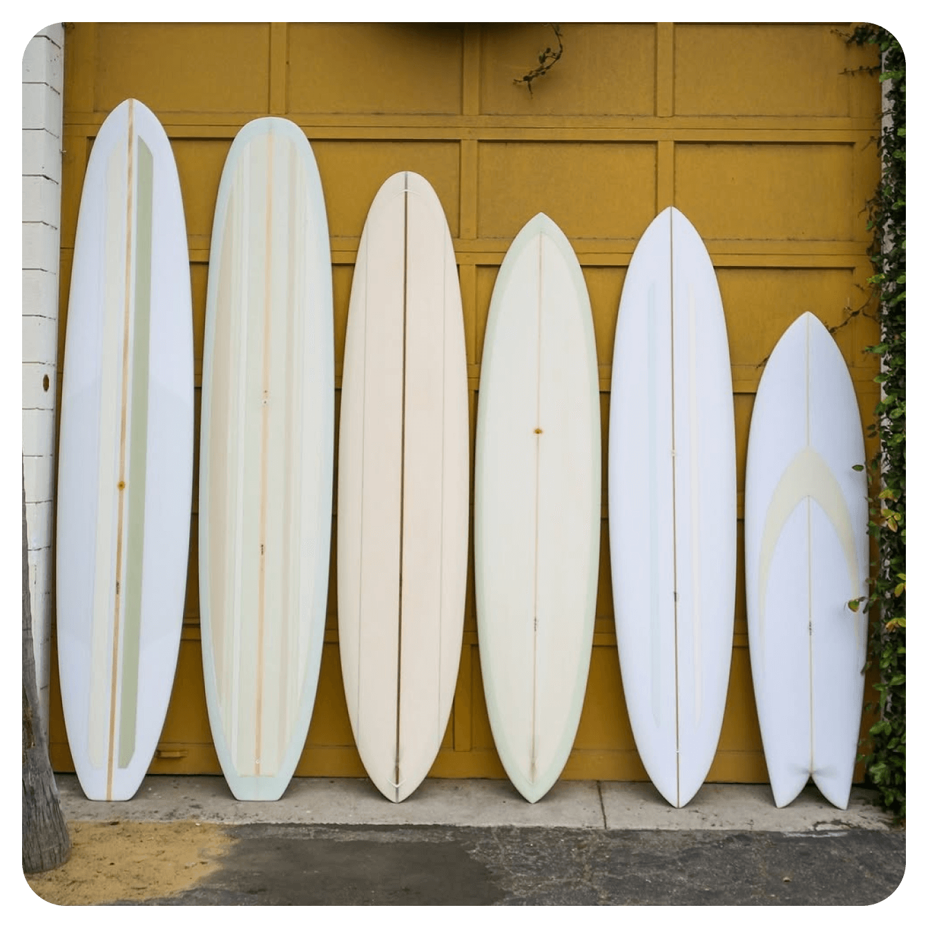 Mollusk Surf Shop