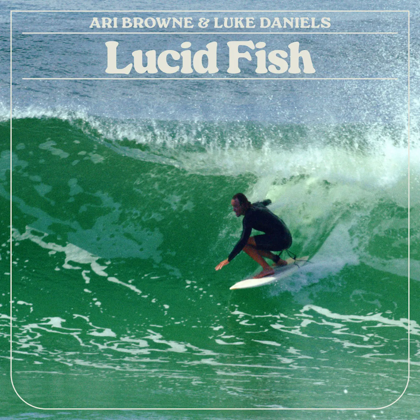 Lucid Fish - Mobile