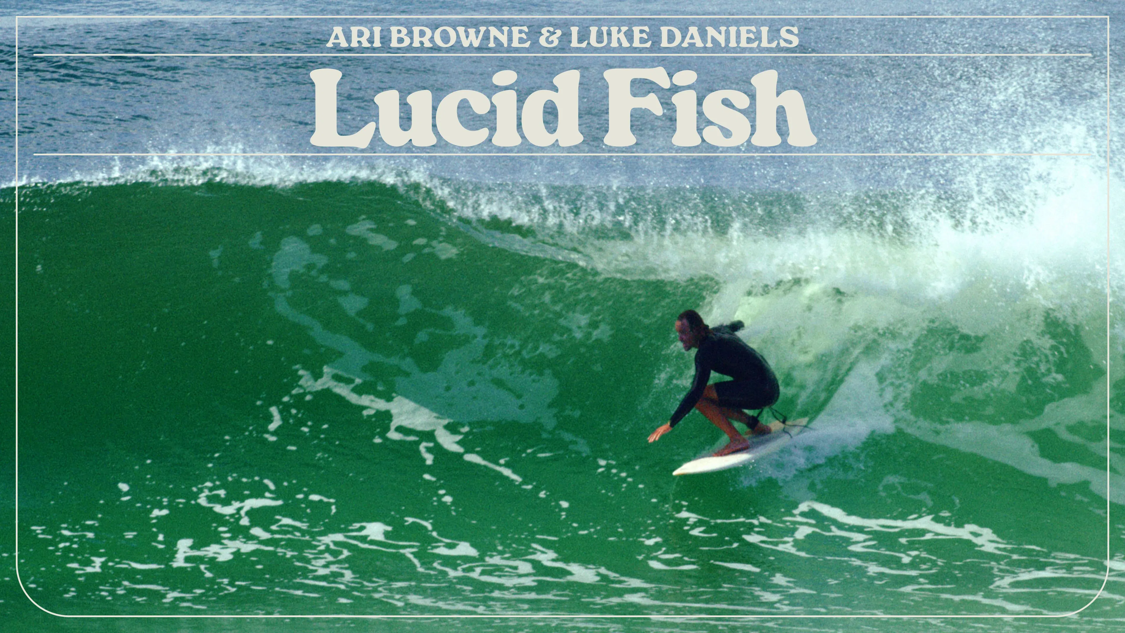 Lucid Fish