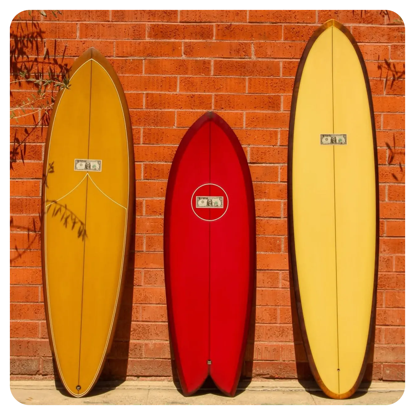mollusk モラスク サーフショップ　ovy Mollusk Surf Shop