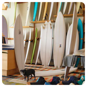 Surfboards