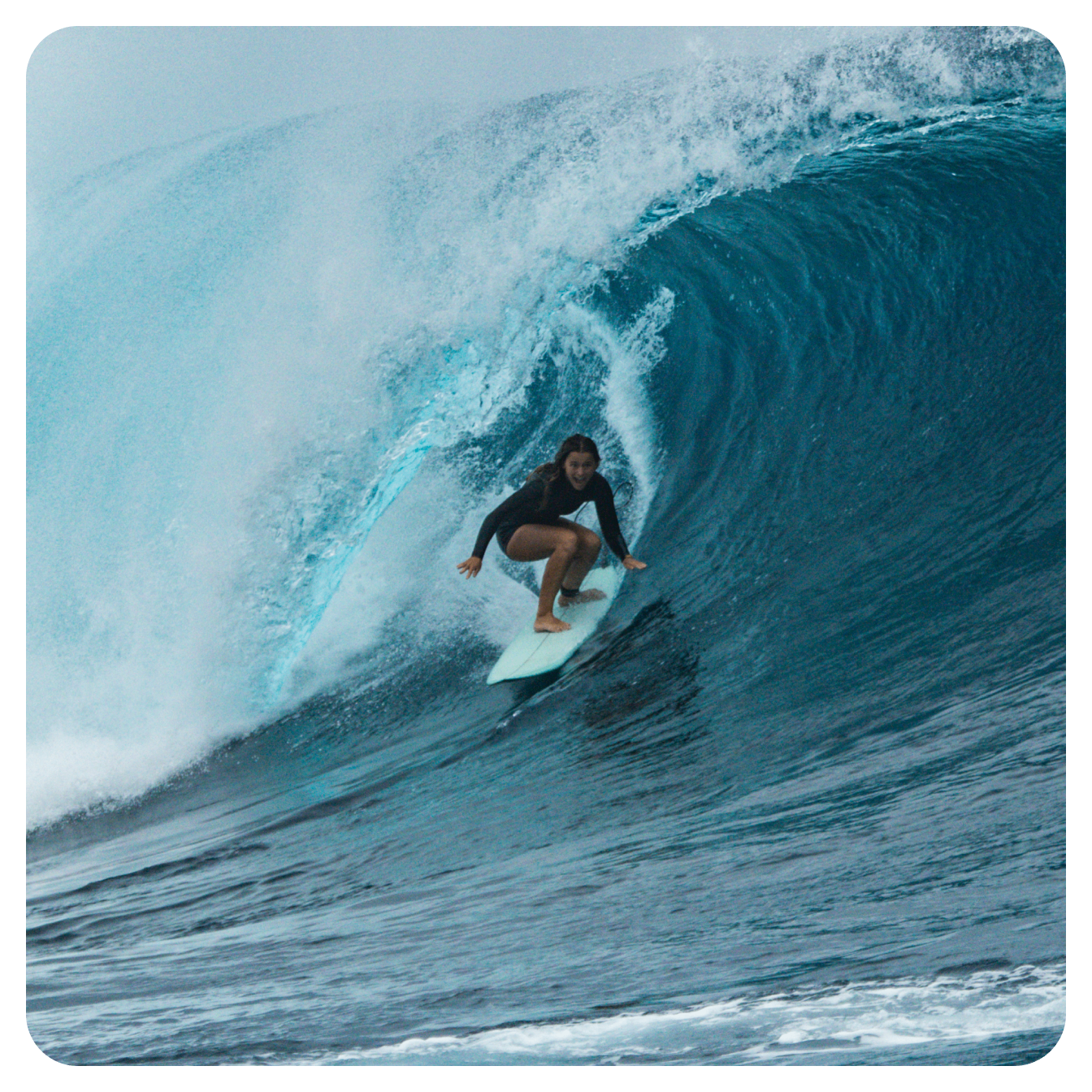 当店だけの限定 USA カリフォルニア Mollusk Surf サーフィン キャップ 緑