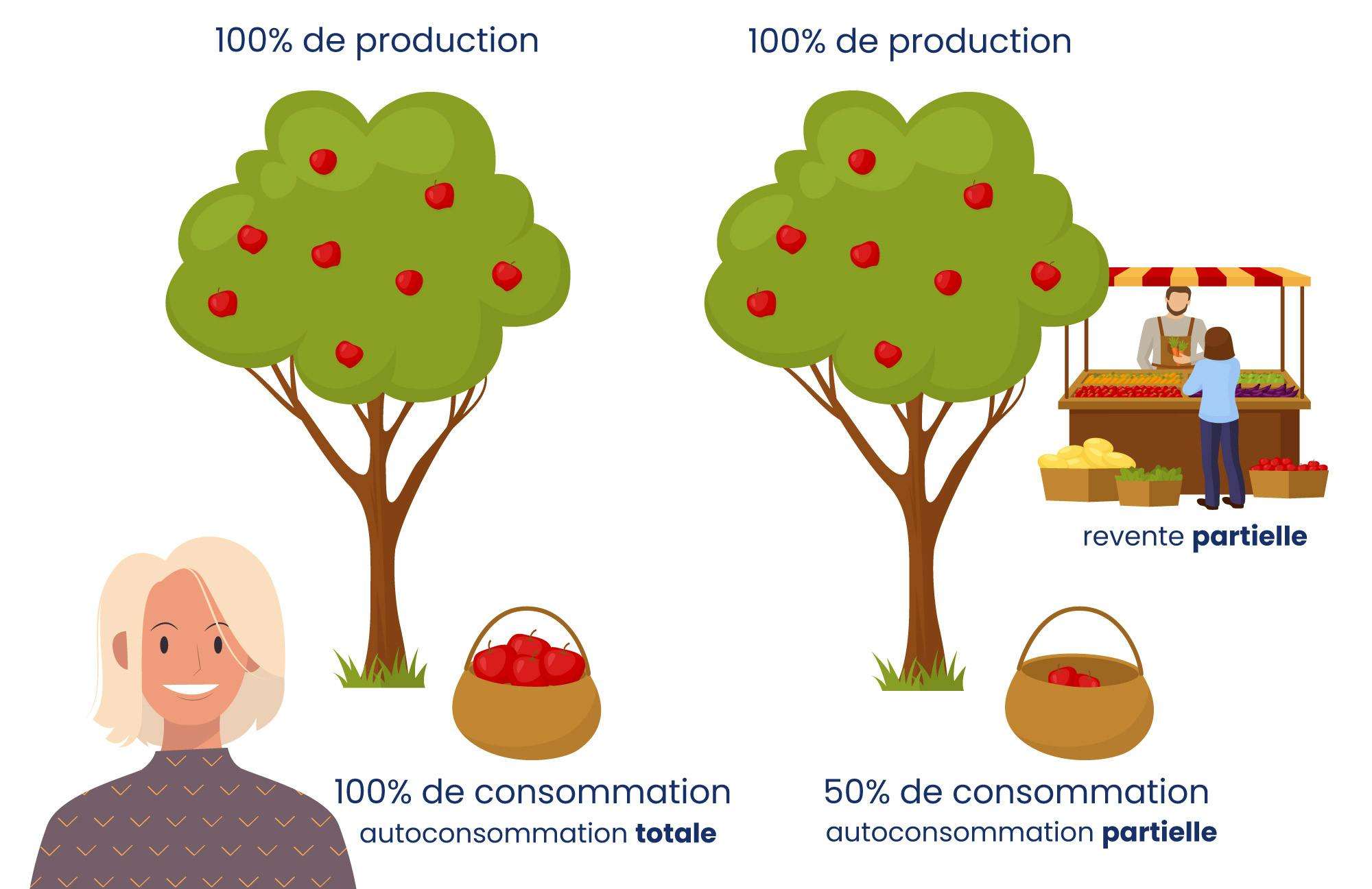 Guide-autoconsommation-autoconsommation-totale-partielle