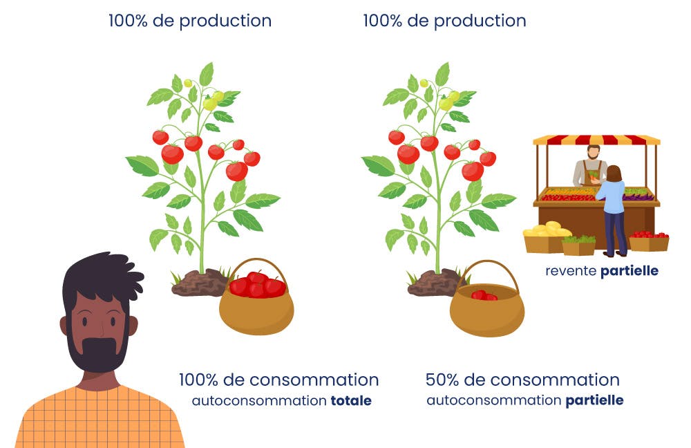 Schéma taux autoconsommation calcul - Monabee entreprise panneaux photovoltaïques