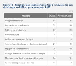 Réactions des entreprises face à la hausse des prix de l'énergie