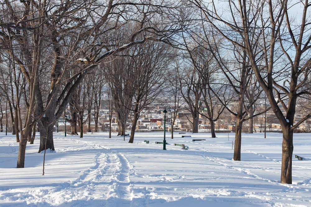 village arbres neige