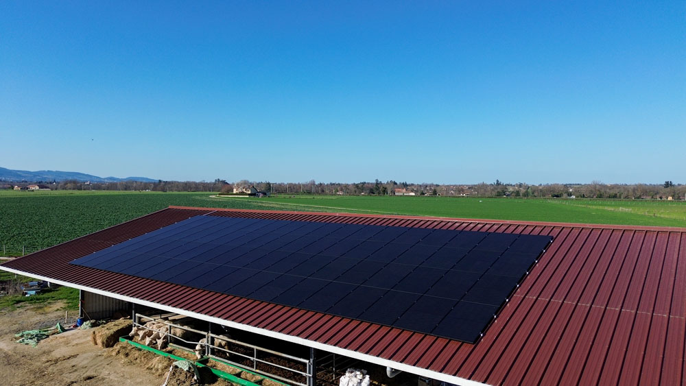panneaux-solaires-monabee-sur-hangar-agricole